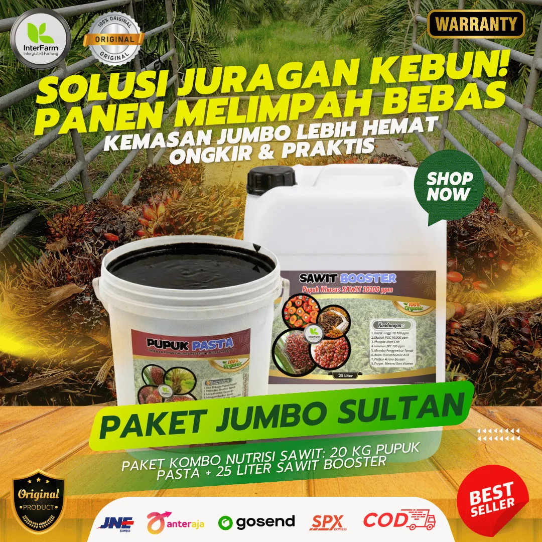 Paket Jumbo Sultan Sawit