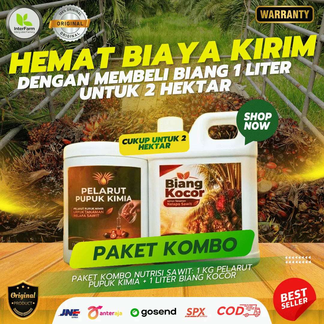 Biang Kocor Sawit 2 Ha