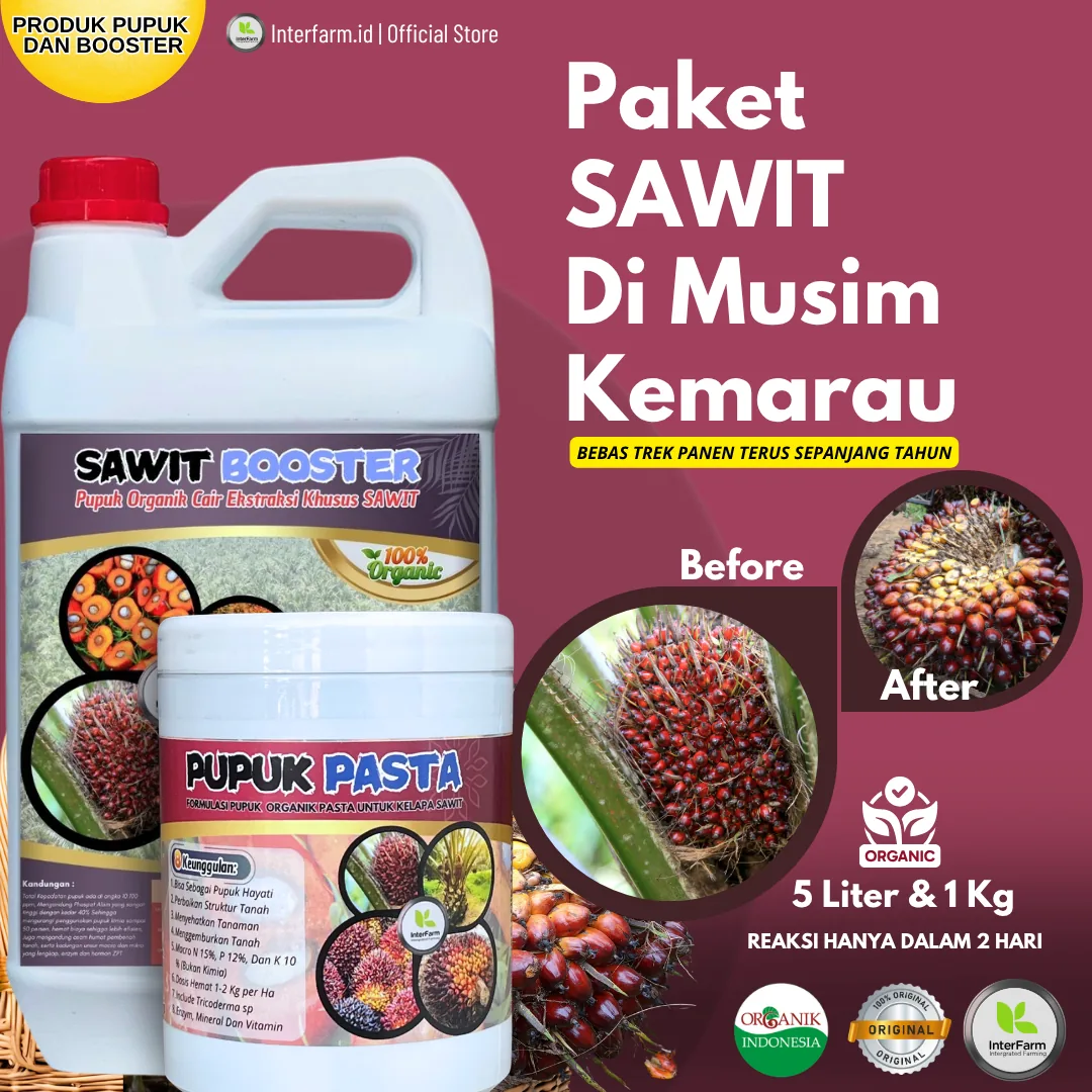 Paket Sawit Musim Kemarau